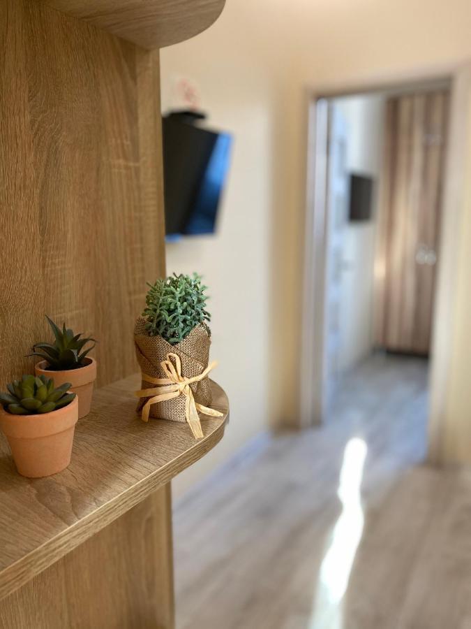 Opera House Apartment Lwów Zewnętrze zdjęcie